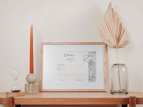 Certificat d'authenticité papier peint S. Ferandez