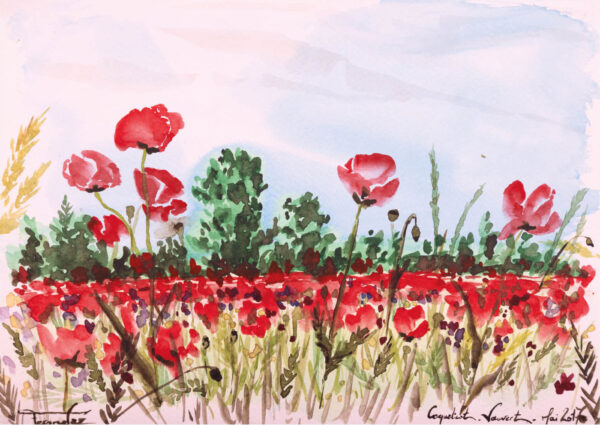 Coquelicot - Gard
