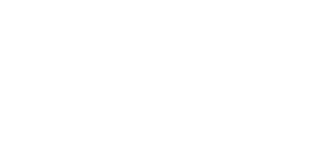 Logo S. Ferandez
